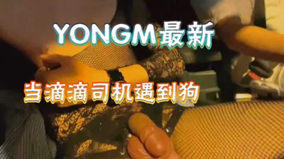 [Free] Youngm&#39;s latest seduction: When a Didi driver meets a bitch wearing sexy lingerie