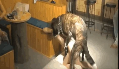 Wonderful amateur dog bestiality action with lustful bestiality lovers