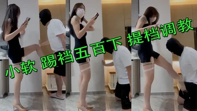 小软 踢裆五百下 提档调教