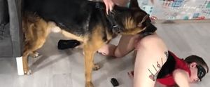 Dog licks woman&#39;s dry pussy while she moans and heaves