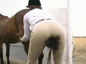 Arrogant MILF takes huge horse cock in her wet hole