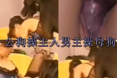 公狗操主人男主操母狗