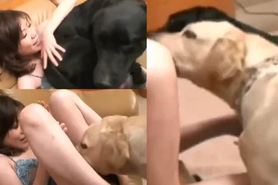 被狗狗的鸡巴插到子宫内射口爆吞狗精