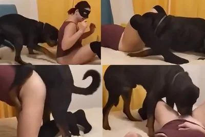 斗牛犬现在可以插人妻的骚穴了