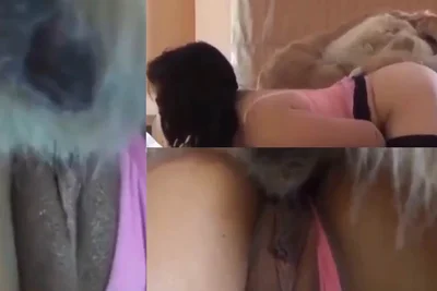寂寞少妇和自己的宠物狗开房
