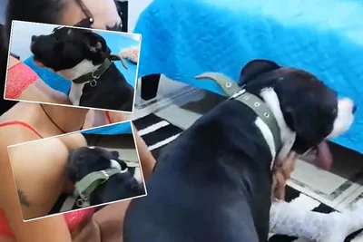 人狗受精01少女不顾全家人反对执意跟爱狗犬交配