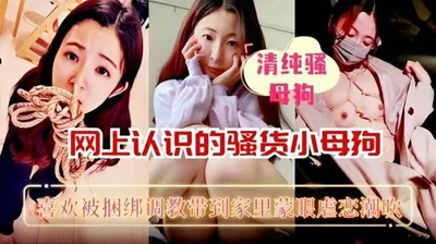 网上认识的骚货母狗喜欢 被捆绑调教带到家里猛操 第二集