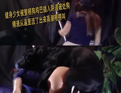 健身少女被整根狗鸡巴插入阴道破处狗精液从逼里流了出来高潮嗯嗯叫