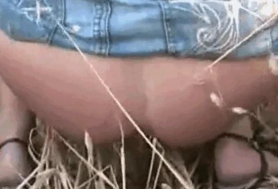 Pooping on hay