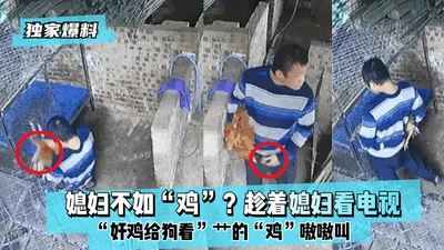 [Exclusive revelation] Wife is not as good as &quot;chicken&quot;? While wife is watching TV, &quot;rape the chicken in front of the dog&quot; and make the &quot;chicken&quot; scream! !