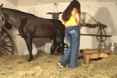 Redhead farm girl swallows juicy horse skills after intense sex