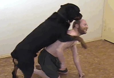 Black dog fucks a dirty minded animal lover in ass to ass position