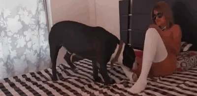 Tanned brunette gets fucked by a beautiful twisted mutt