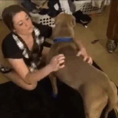 Fat girl takes off her panties and has sex with dog