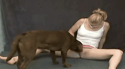 Lesbian bestiality video featuring a brown dog