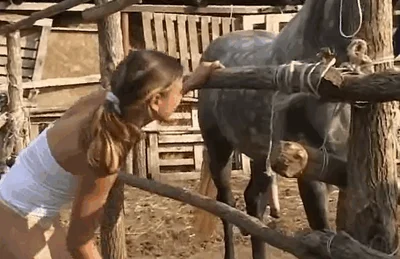 Excited chick takes the entire horse cock up her fresh ass