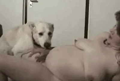 Pregnant girl from newspaper has sex with a big cock dog