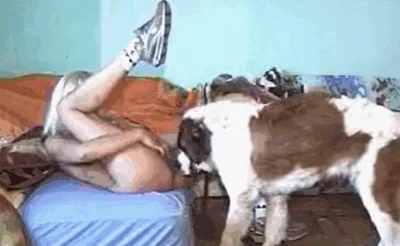 Hairy pussy hottie gets fucked by a horny dog