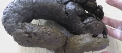 Baked Poop Pancake Show