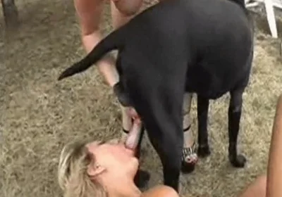 Busty blonde deepthroats the dog before getting fucked