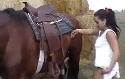 Dozens of pics of a brunette with natural tits sucking a horse&#39;s cock