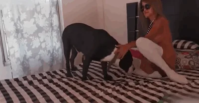 Tanned brunette gets fucked by a twisted mutt