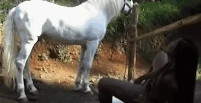 Black chick fucks white horse in outdoor video