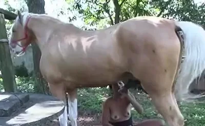 Sexy girl enjoys passionate sex with horse