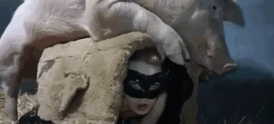 Blonde having fun with a pig