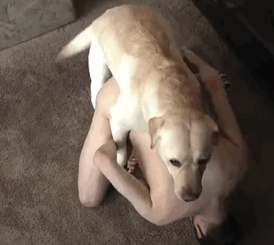 Man cleans himself in front of camera, dog comes over to lick his semen