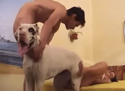 Zootophile man helps his girlfriend get fucked by big dog