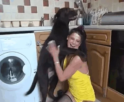 Brunette beauty in yellow sucks dog dick in front of camera