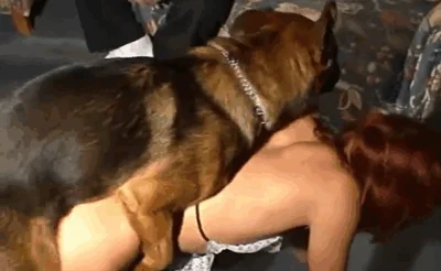 Hairy puppy fucks a redhead milf from behind