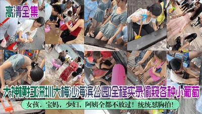 The high-definition complete set of the great god swept through Shenzhen Dameisha Seaside Park and recorded the whole process of peeping at various small grape girls, mothers, young women, and aunts, 