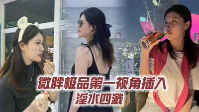 微胖极品第一视角插入淫水四溅