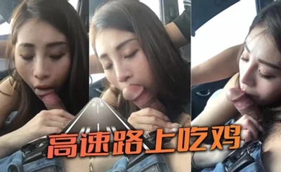 高速路上吃鸡