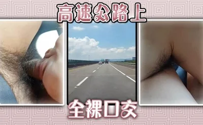 高速公路上全裸口交