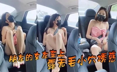朋友的女友车上露无毛小穴诱惑。