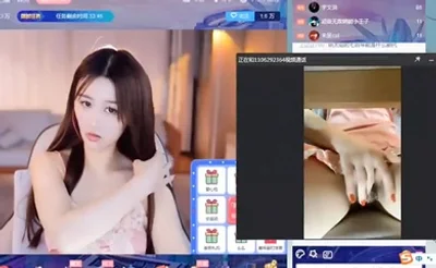 粉丝视角 vs 榜一大哥视角