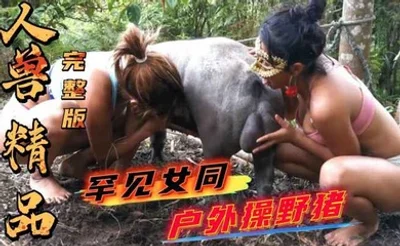 【稀缺人兽完整版】罕见女同操野猪#人妻#骚逼