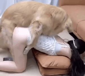 Beautiful girl guides the dog to her pussy