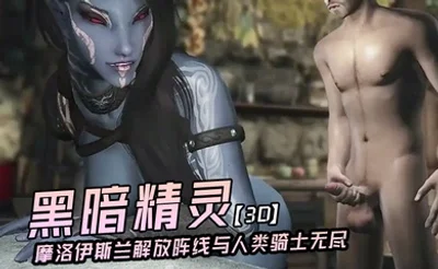 【3D】黑暗精灵摩洛伊斯兰解放阵线与人类骑士无尽