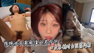 推特泄密高颜值反差母狗口交吞精对白淫荡内射