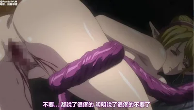 经典老番系列妖精公主Vol被囚禁在淫城的丽姬穿着触手套装的妓女恶堕END_中文字幕