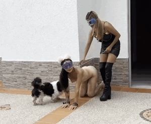 Girl guides black dog to fuck